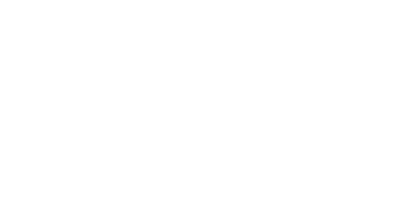 INAF logo white