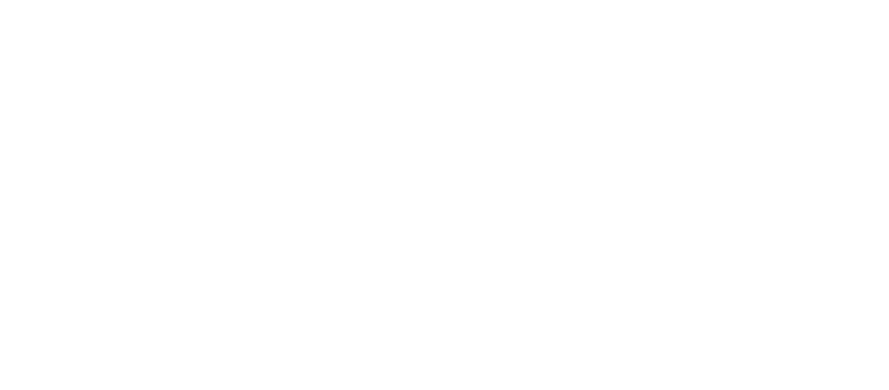 Logo Politecnico di Torino - trasparente